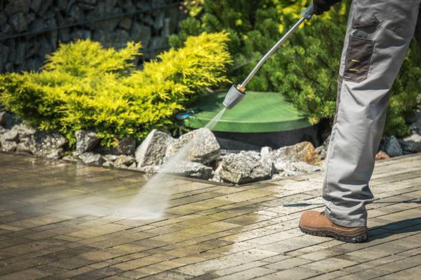 Best House Exterior Washing  in Bushnell, FL